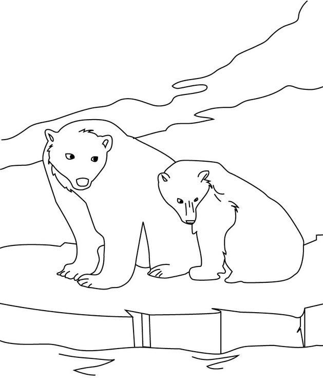 oso polar para colorear